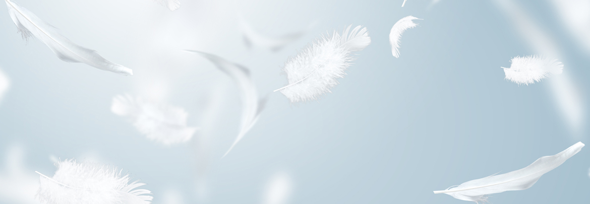 materie-prime_1170x405