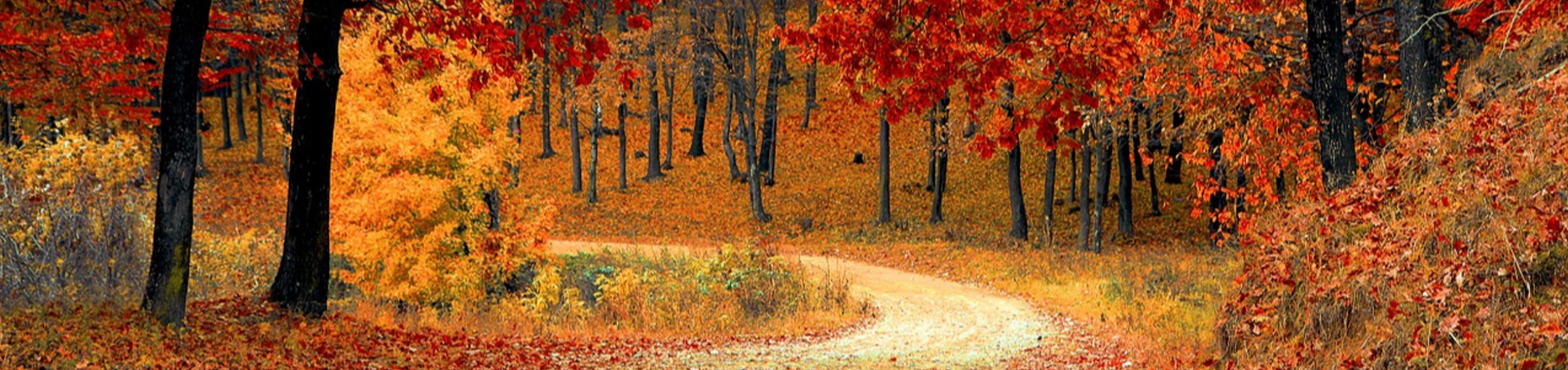 Promozione autunno