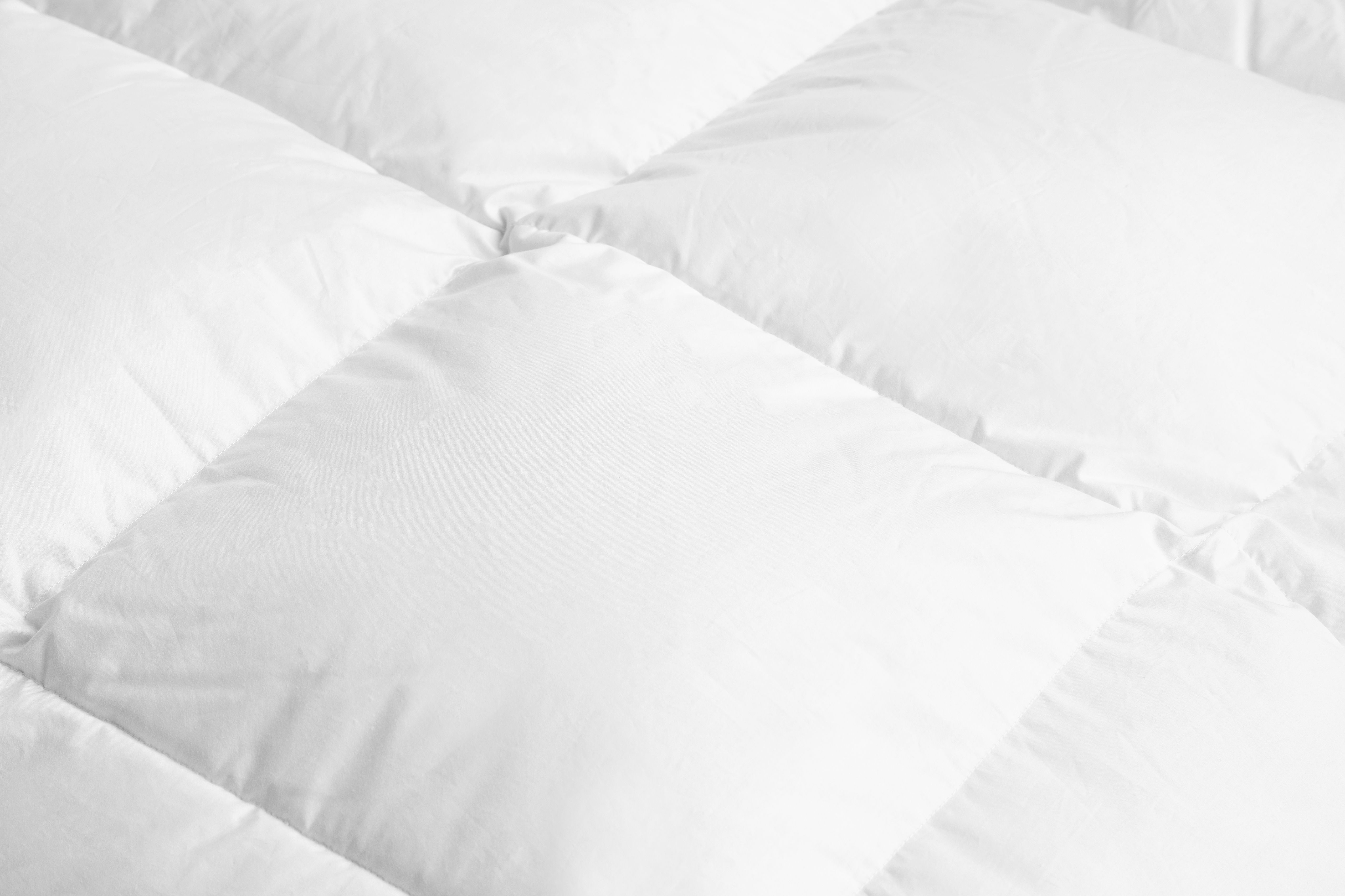 Down duvet Laurin